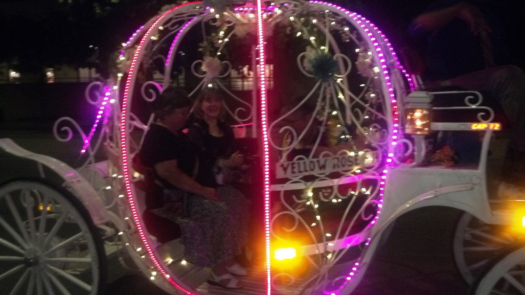 And here's the proof that I really was like Cinderella at the ball. Horse-drawn pumpkins came to pick us up from the dinner. I was impressed by the limo that drove us there, but this carriage was spectacular.